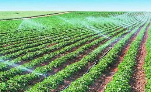 想看美女操浪逼的录像和视频农田高 效节水灌溉
